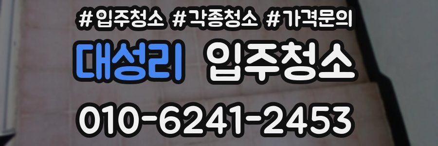 대성리 이사청소