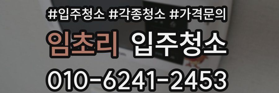 임초리 이사청소