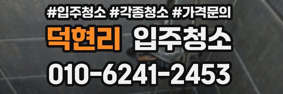 덕현리 이사청소