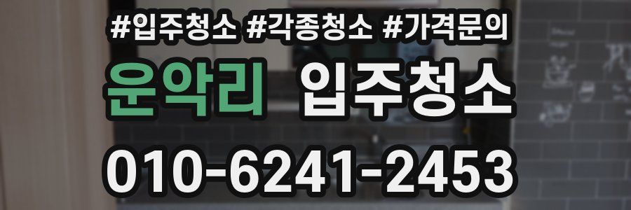 운악리 이사청소