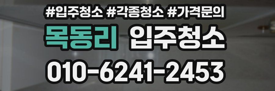 목동리 이사청소