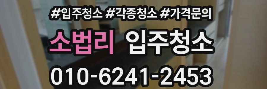 소법리 이사청소