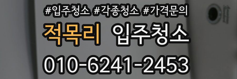 적목리 이사청소