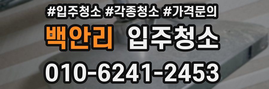 백안리 이사청소