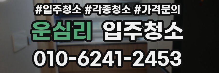 운심리 이사청소