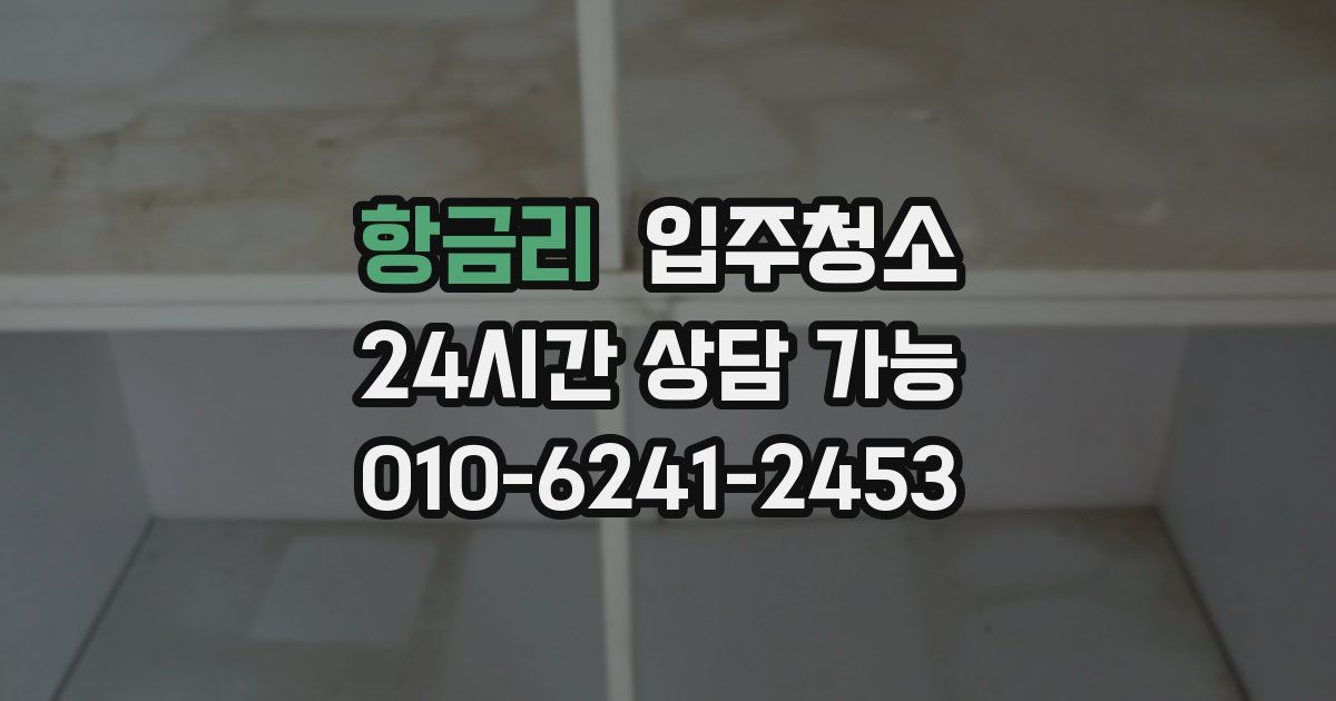 항금리 입주청소
