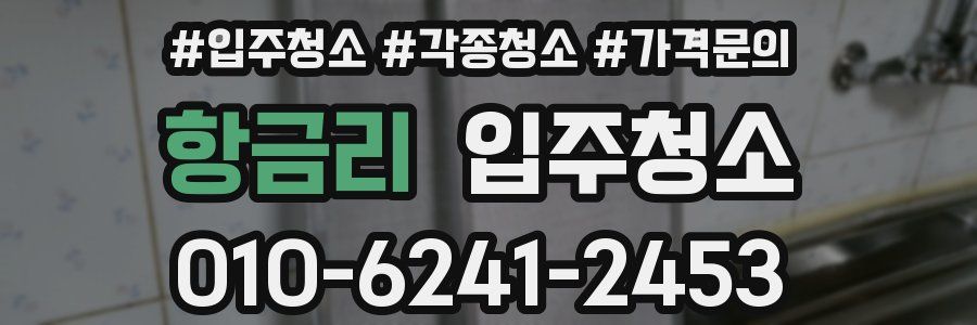 항금리 이사청소