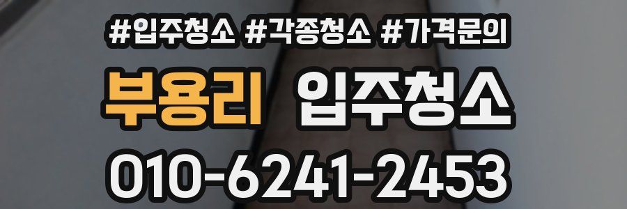 부용리 이사청소