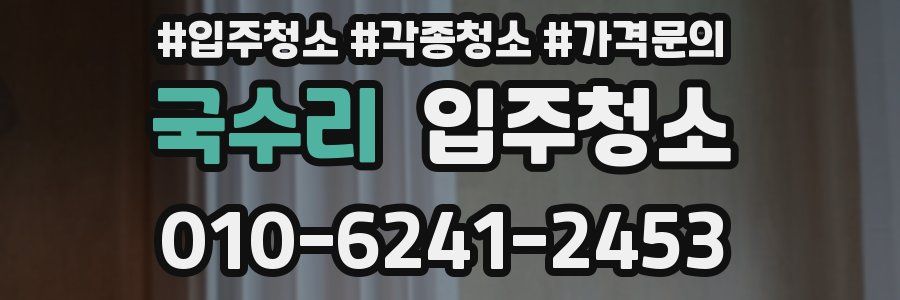 국수리 이사청소