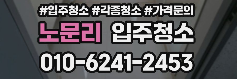 노문리 이사청소