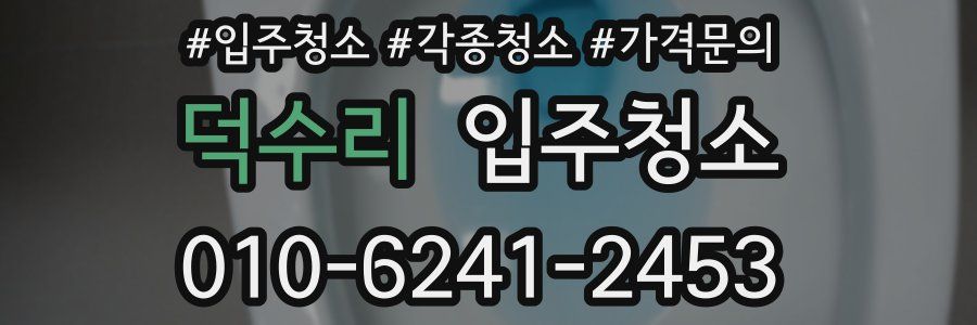 덕수리 이사청소