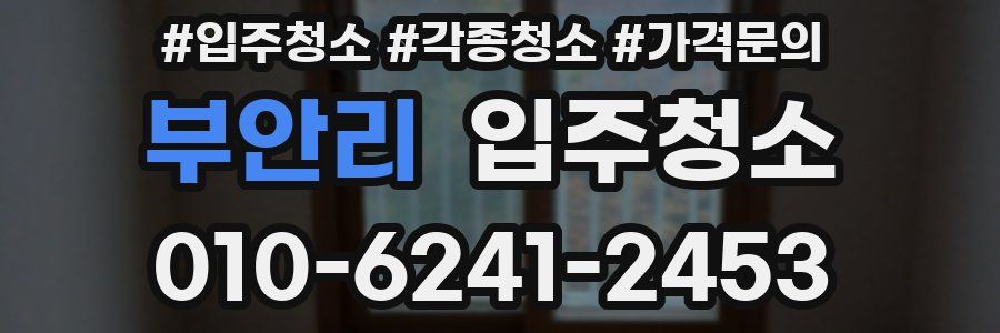 부안리 이사청소