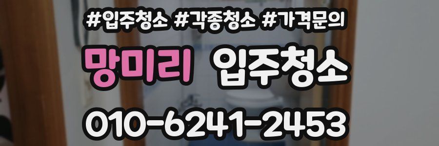 망미리 이사청소