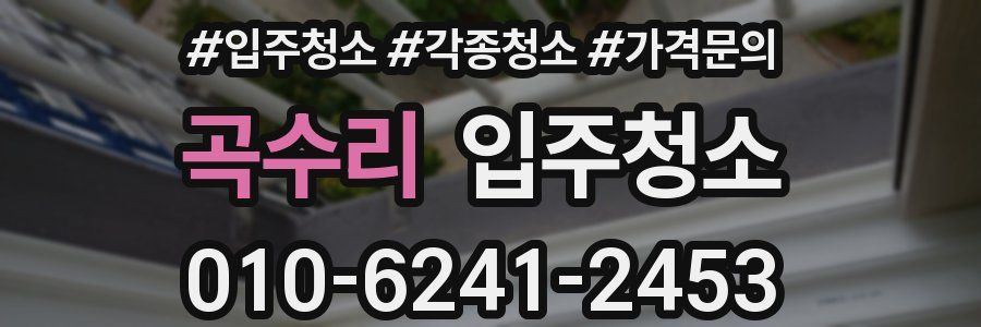 곡수리 이사청소