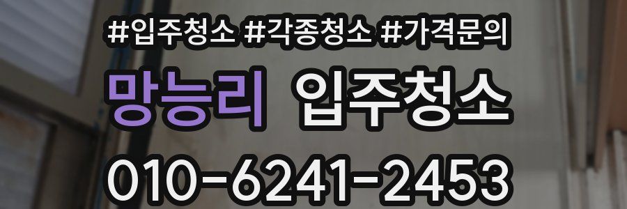 망능리 이사청소