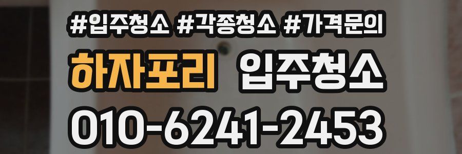 하자포리 이사청소