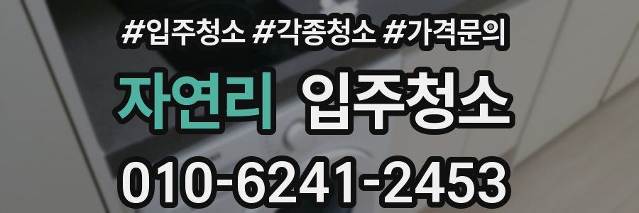 자연리 이사청소