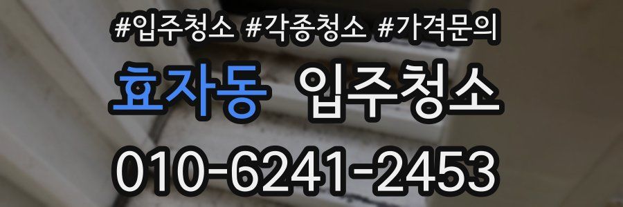 효자동 이사청소