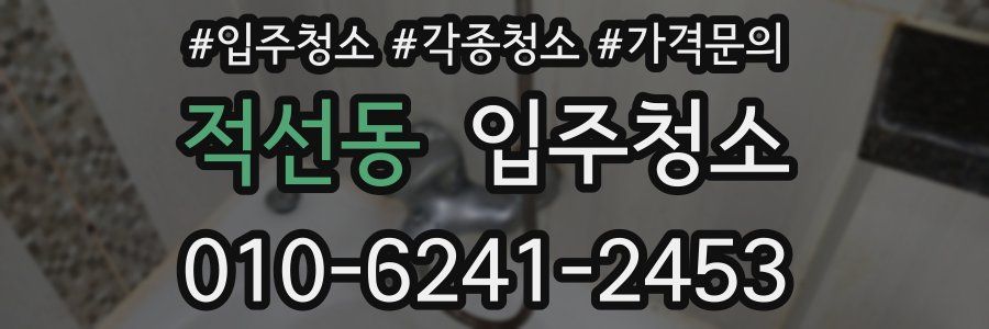 적선동 이사청소