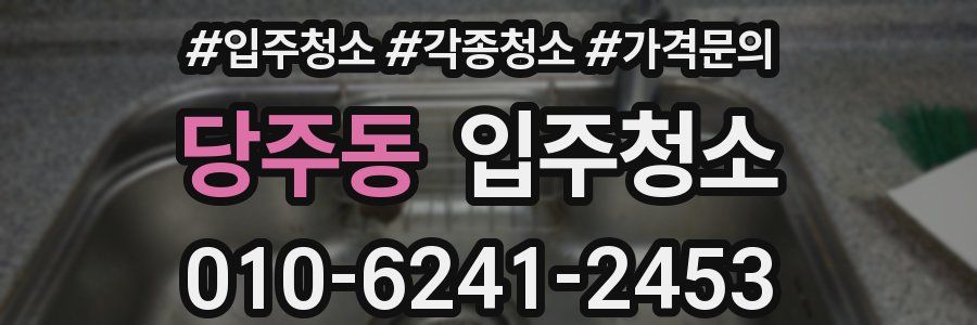 당주동 이사청소