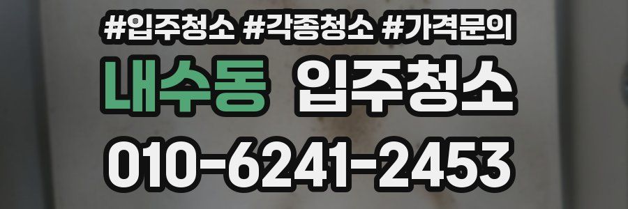 내수동 이사청소