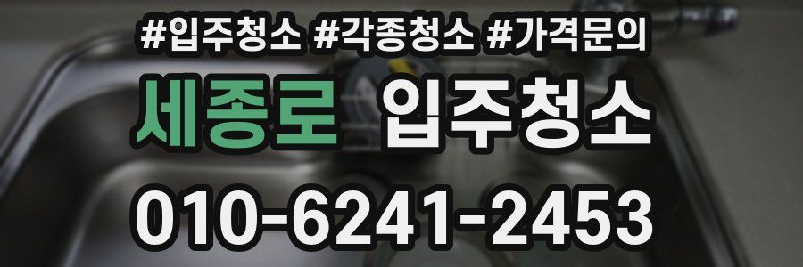 세종로 이사청소