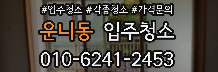 운니동 이사청소