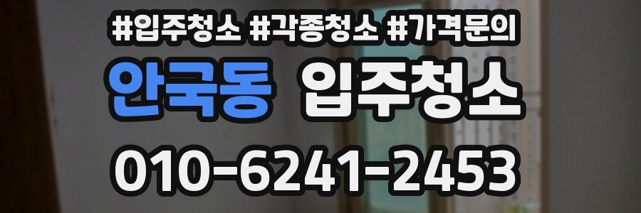 안국동 이사청소