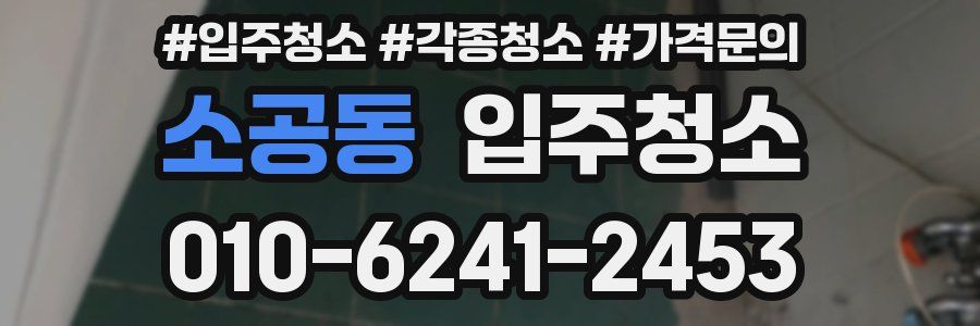 소공동 이사청소