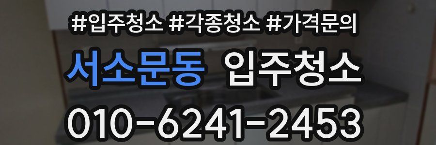 서소문동 이사청소