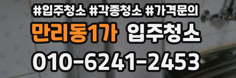 만리동1가 이사청소