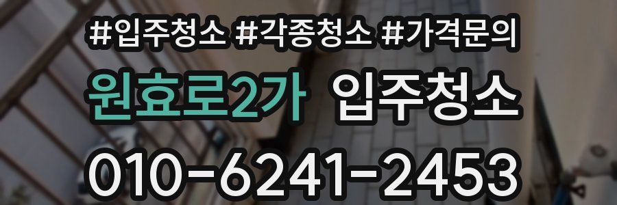 원효로2가 이사청소