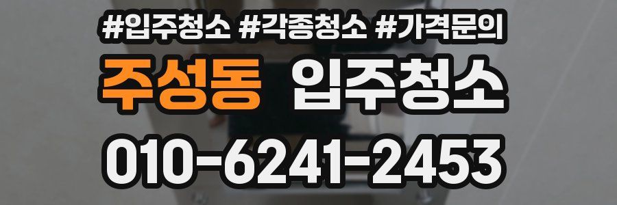 주성동 이사청소