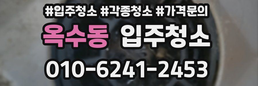 옥수동 이사청소