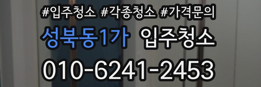 성북동1가 이사청소