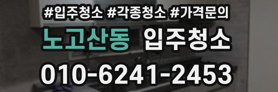 노고산동 이사청소