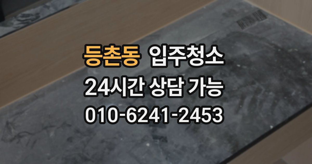 등촌동 입주청소