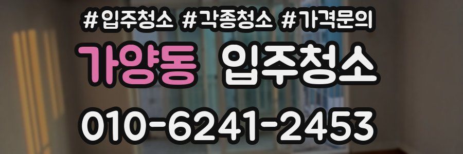 가양동 이사청소