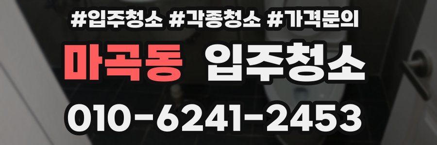 마곡동 이사청소