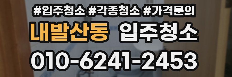 내발산동 이사청소