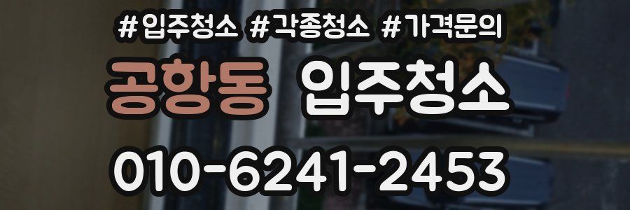 공항동 이사청소