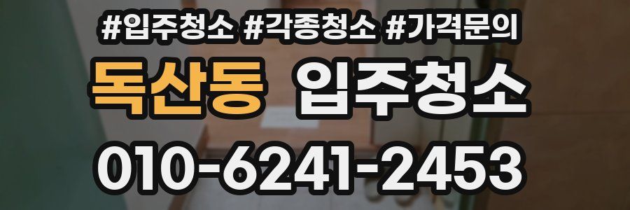 독산동 이사청소