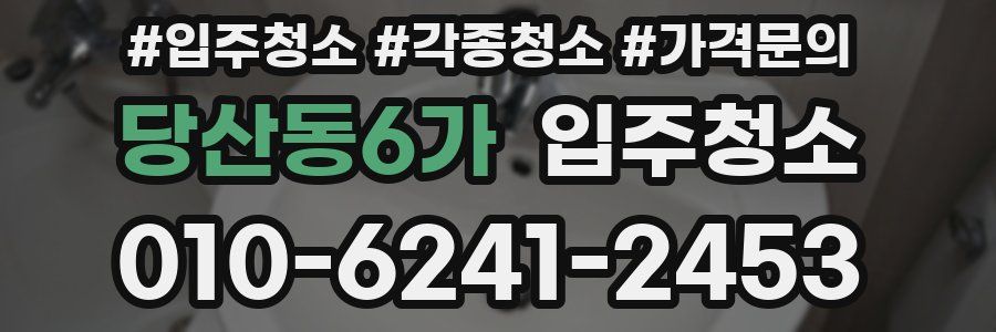 당산동6가 이사청소
