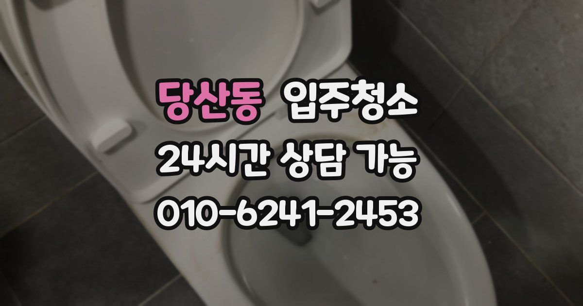 당산동 입주청소