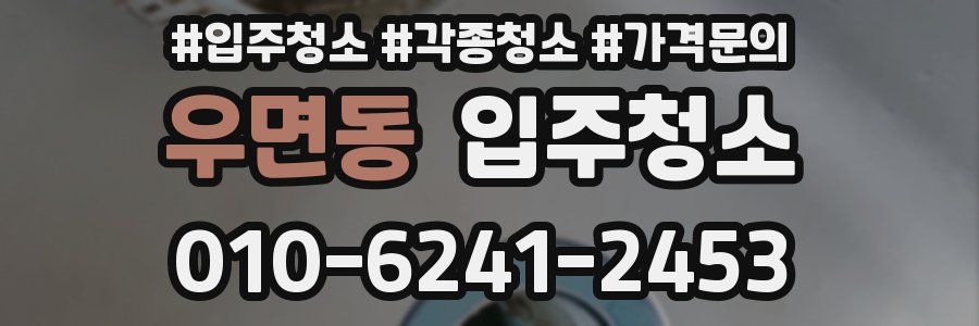 우면동 이사청소