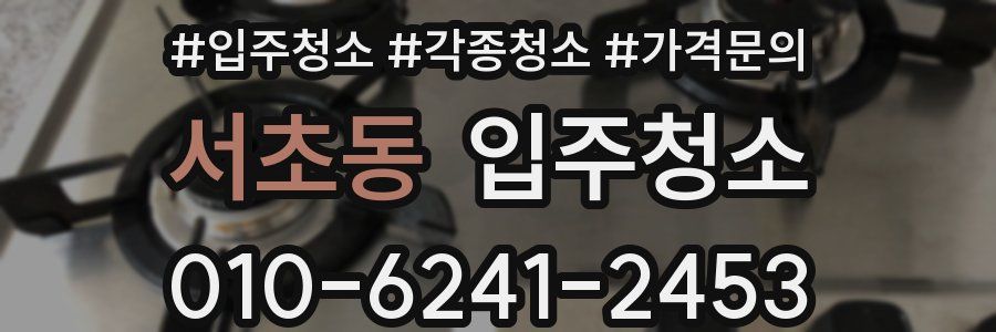 서초동 이사청소