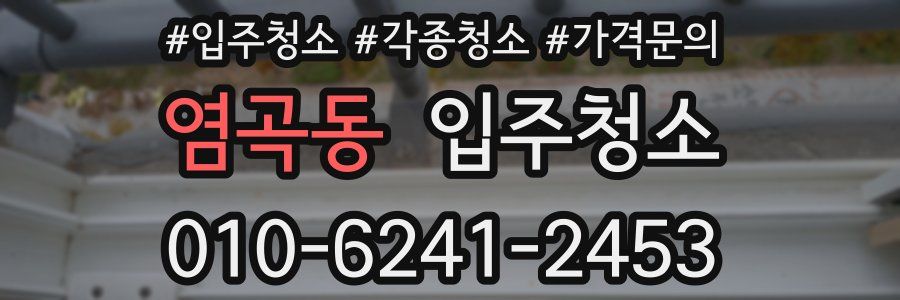 염곡동 이사청소