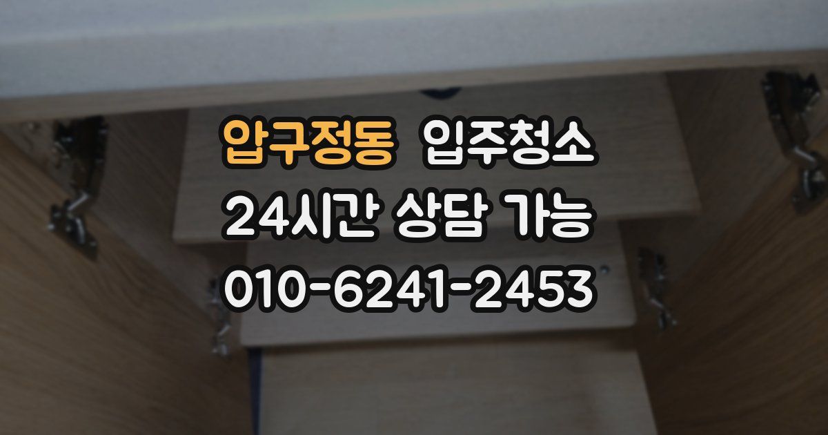 압구정동 입주청소