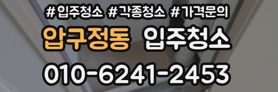 압구정동 이사청소