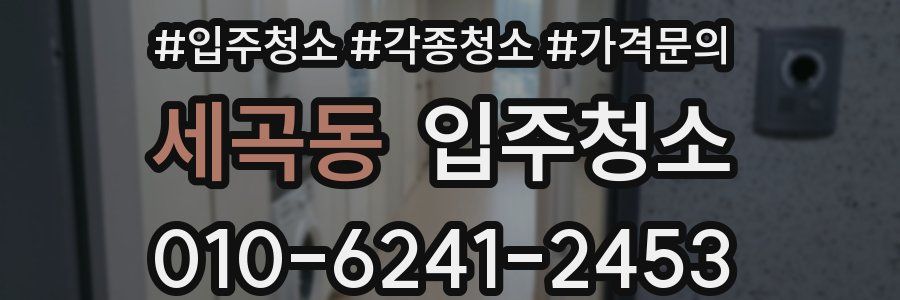 세곡동 이사청소